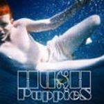 Hushpuppies : HushPuppies