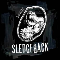 Sledgeback : 36206