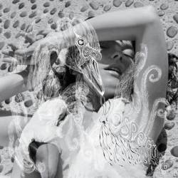 Björk : Vespertine