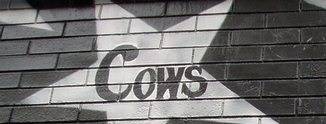 logo Cows