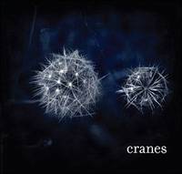 Cranes : Cranes Cranes : Cranes
