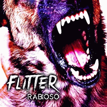 Flitter : Rabioso