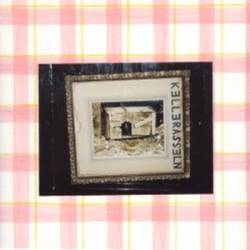 Kellerasseln : Kellerasseln Kellerasseln : Kellerasseln