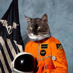 Klaxons : Surfing the Void