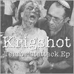 Krigshot : Terroristattack