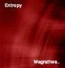 Entropy