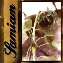 Samiam : Samiam Samiam : Samiam