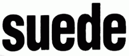 logo Suede